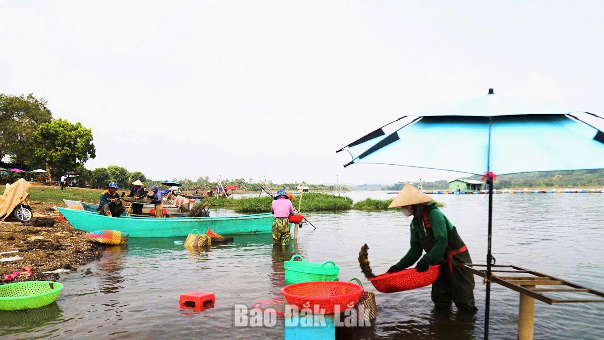 1.toan_canh_20260423155501.jpg