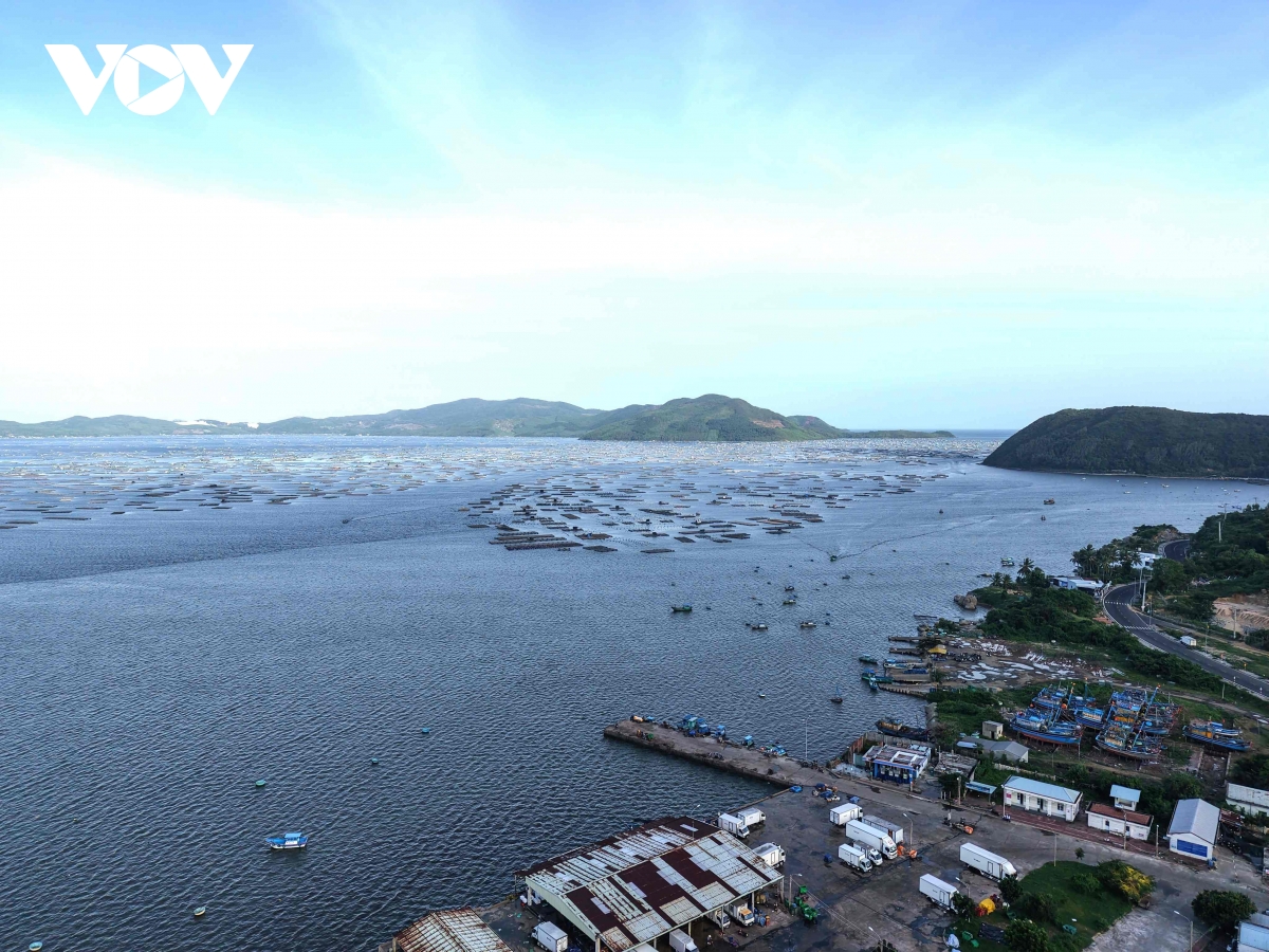 dji_20251105155211_0092_d